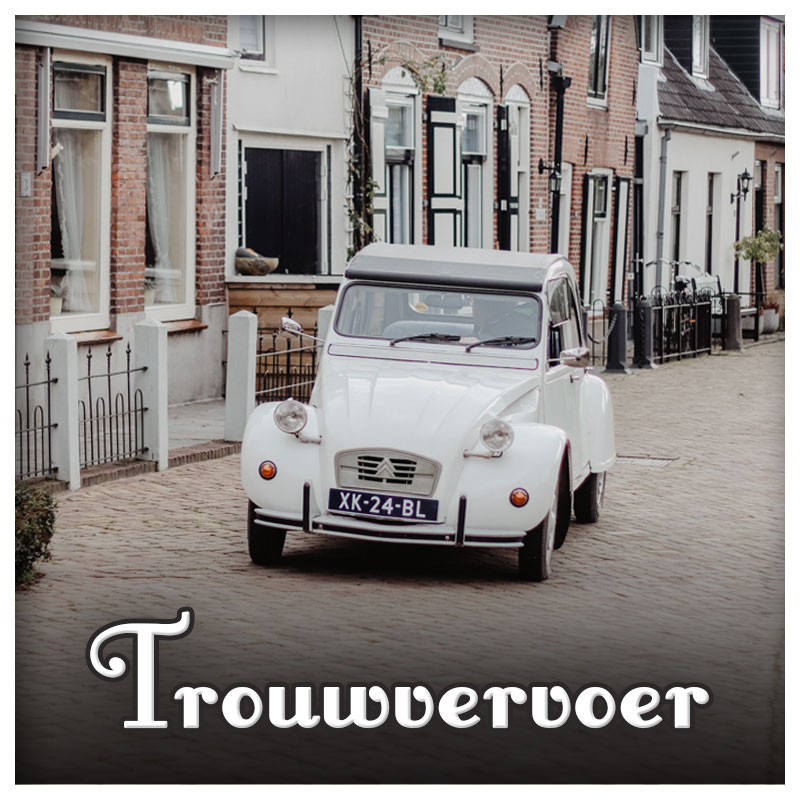 We Love Oldtimers