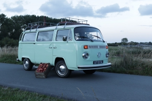 Sweet Minty