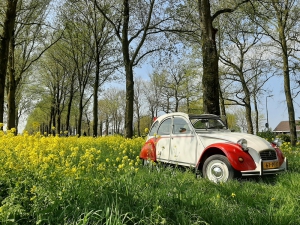 Citroën 2CV Dolly Wit