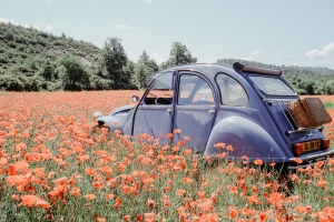Citroën 2CV Lavendel